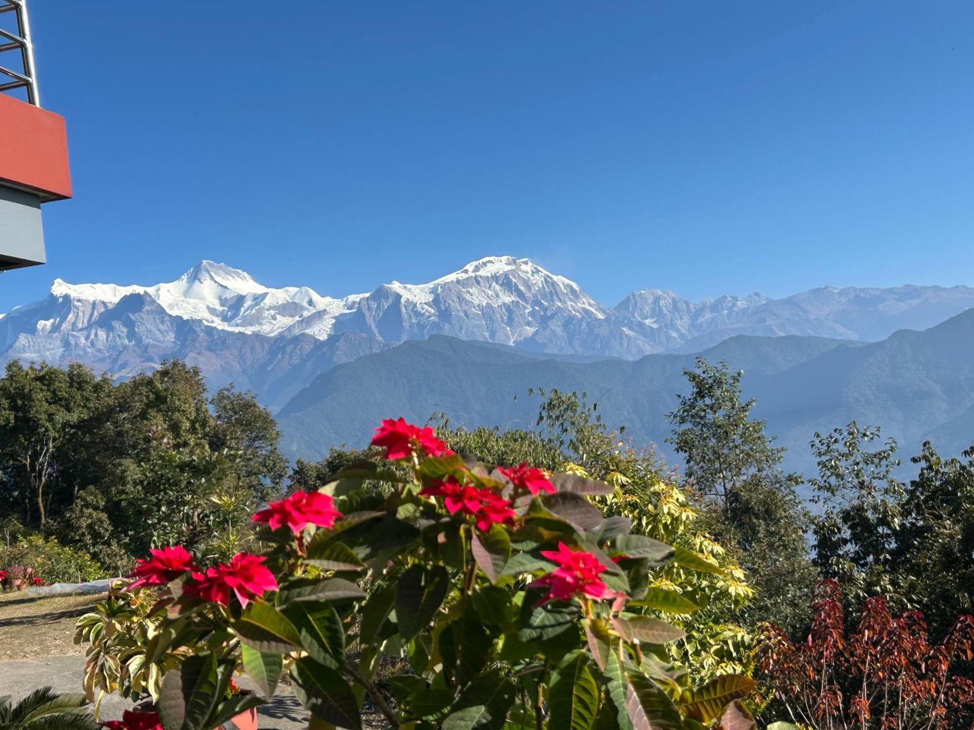 Hotel Pristine Himalaya Покхара Экстерьер фото